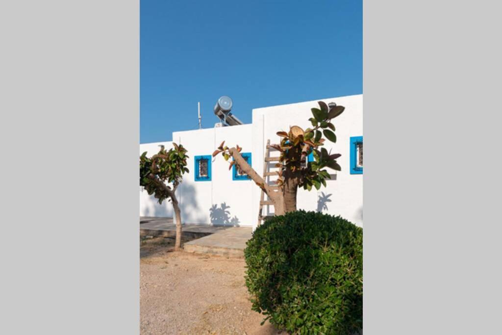 Georgia'S Studio ซาครอส ภายนอก รูปภาพ